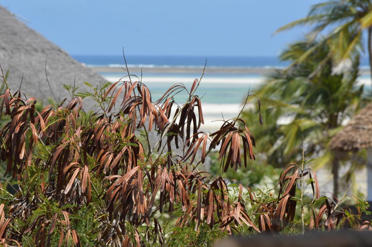 Pole Pole Beach House Watamu Exterior foto
